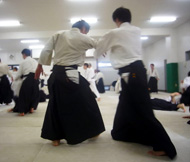 Летняя школа боевых искусств в Японии 2009 г.