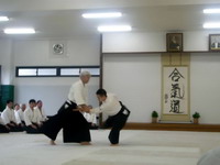 Япония. Летняя школа 10 - 20 июня 2009 года